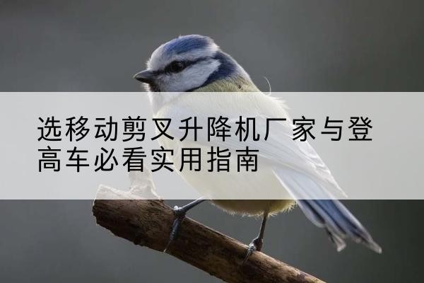 响水电动升降机厂家-选移动剪叉升降机厂家与登高车必看实用指南