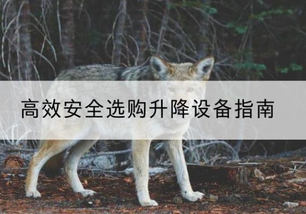 响水升降货梯厂家推荐-*安全选购升降设备指南