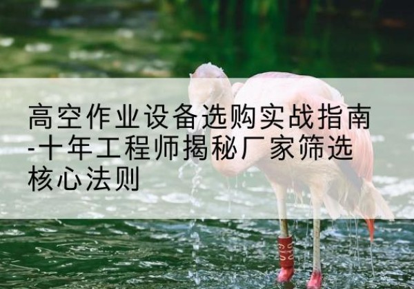 响水剪叉式升降机厂家-高空作业设备选购实战指南-十年工程师揭秘厂家筛选核心法则